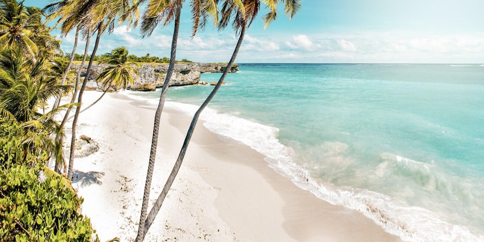 Image of a Caribbean beach in January