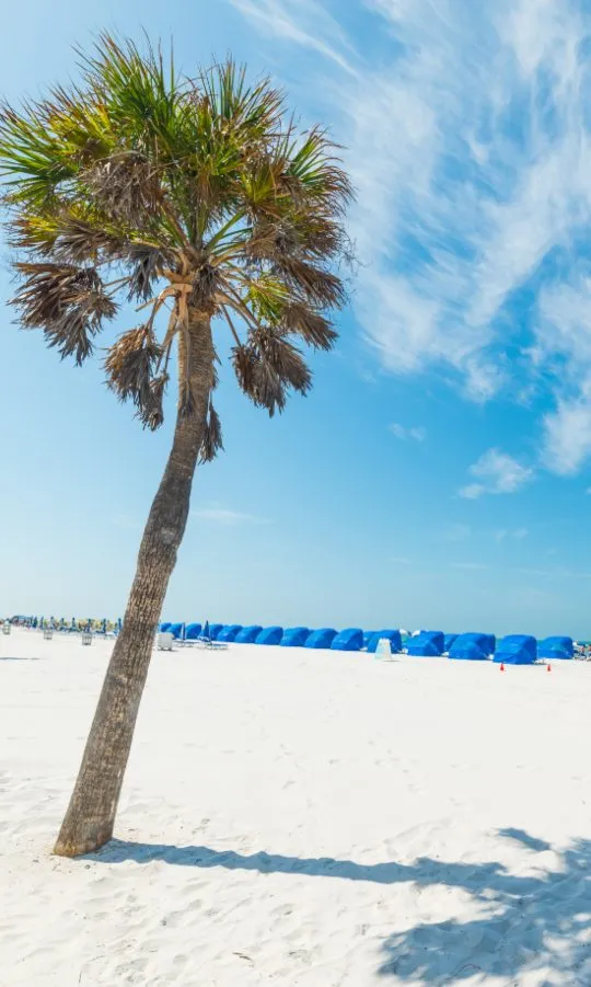 St. Pete & Clearwater