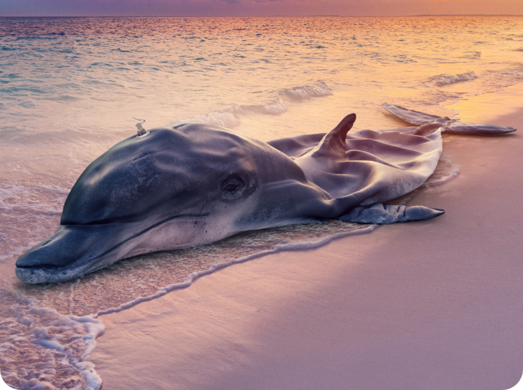 Deflated Dolphin representing the impact of plastic waste