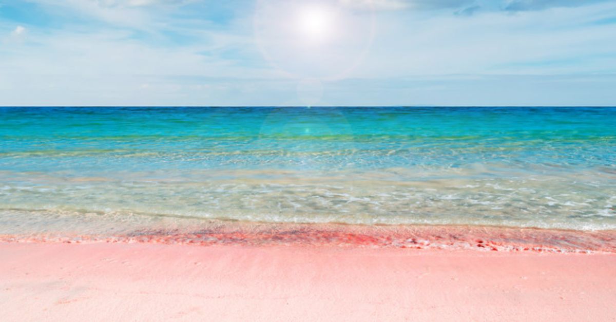 Pink Sand Beach Bahamas Vaporwaveaesthetics Pink Sand Beach Pink | My ...